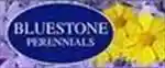 Bluestone Perennials Annual Sale