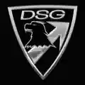 DSG Arms 20% Off Coupon