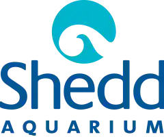 Chicago Shedd Aquarium Free Days