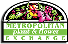 Metropolitan Plant Exchange 40% Off Sale